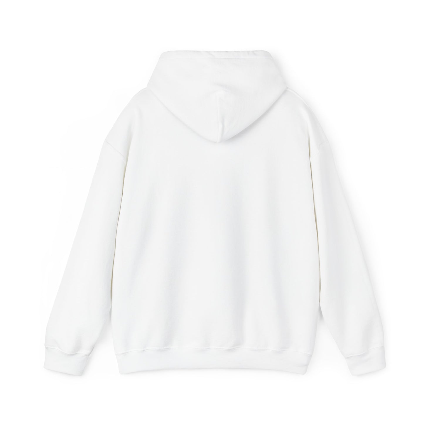 Unisex 70's Spiral Hoodie