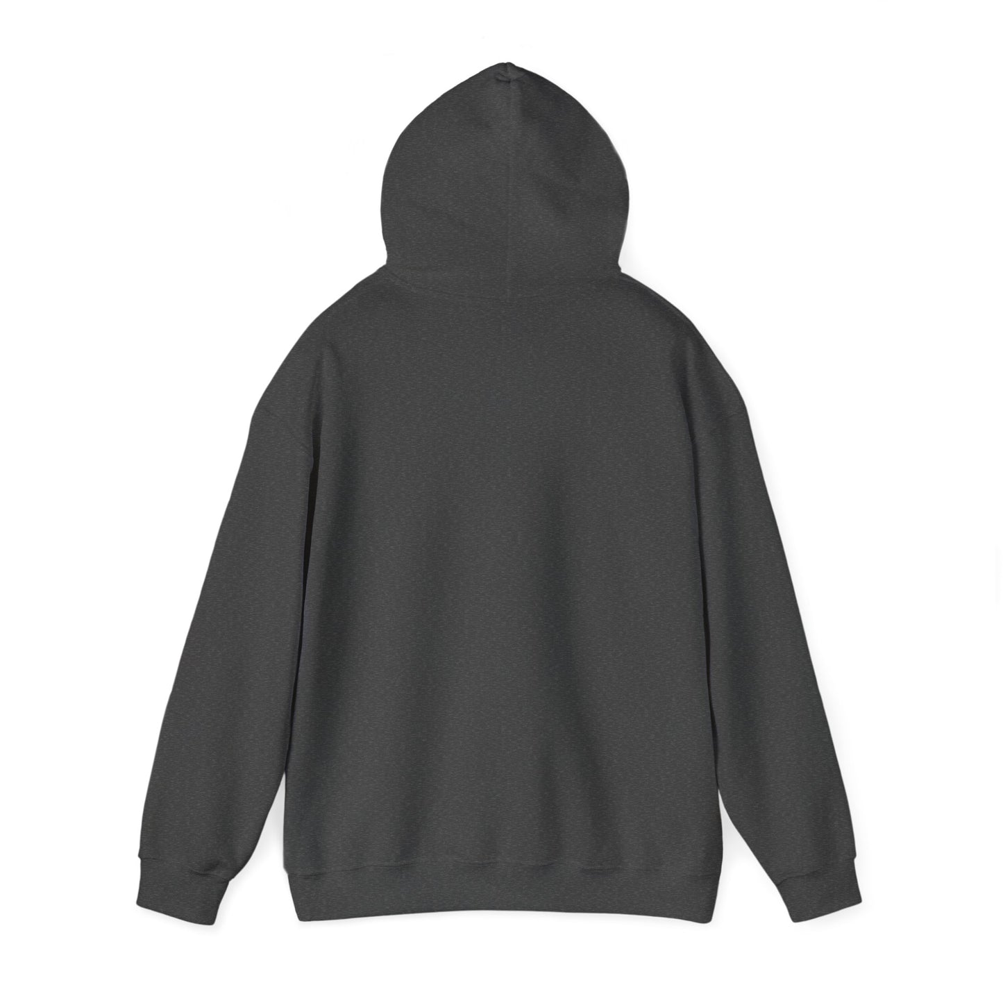 Unisex 70's Spiral Hoodie